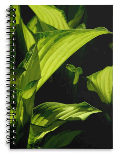 a lined spiral notebook with a Hosta leaf on the cover
